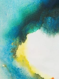 Alexander McQueen watercolour effect swim shorts