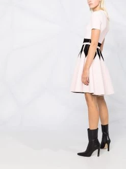 Alexander McQueen colour-block flared dress