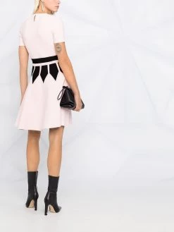 Alexander McQueen colour-block flared dress