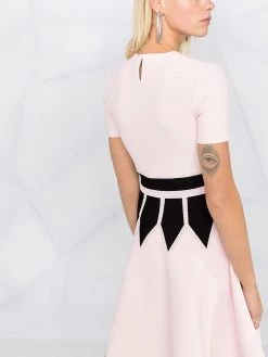 Alexander McQueen colour-block flared dress