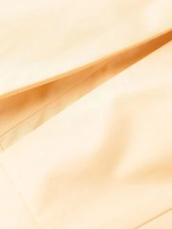 Alexander McQueen draped A-line dress