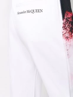 Alexander McQueen Anemome-print track pants