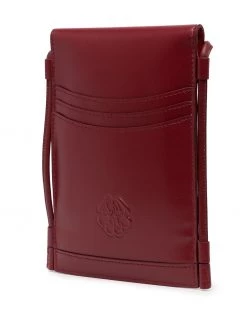 Alexander McQueen The Curve Micro crossbody bag