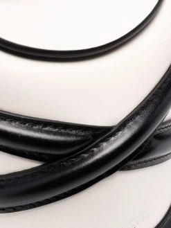 Alexander McQueen mini The Curve bucket bag